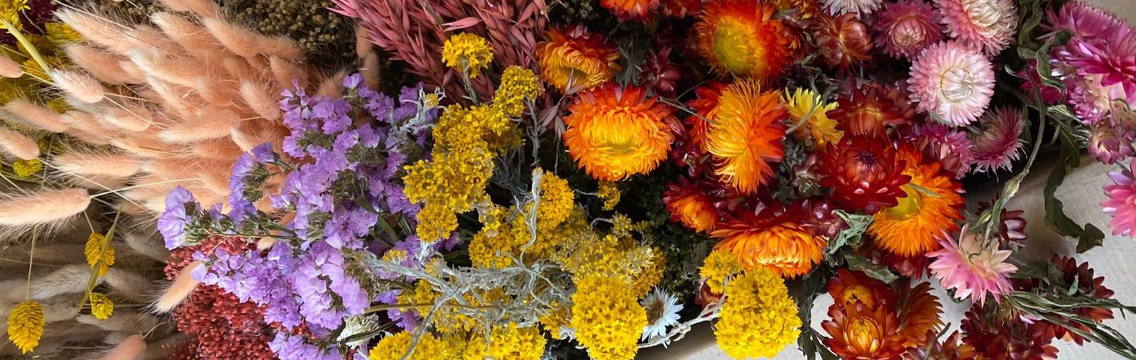 RESIZED FLOWER IMAGE